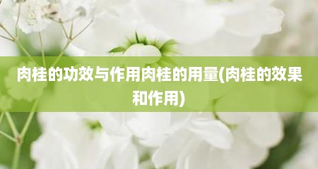 肉桂的功效与作用肉桂的用量(肉桂的效果和作用)