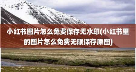 小红书图片怎么免费保存无水印(小红书里的图片怎么免费无限保存原图)
