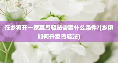 在乡镇开一家菜鸟驿站需要什么条件?(乡镇如何开菜鸟驿站)