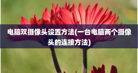 电脑双摄像头设置方法(一台电脑两个摄像头的连接方法)
