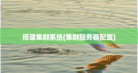 搭建集群系统(集群服务器配置)
