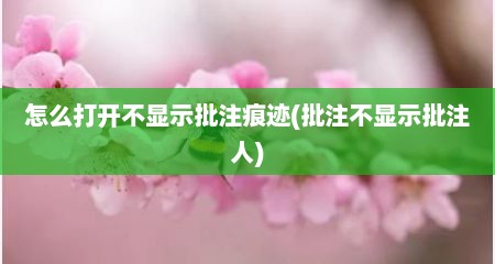 怎么打开不显示批注痕迹(批注不显示批注人)