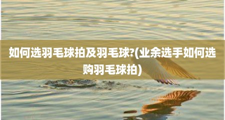 如何选羽毛球拍及羽毛球?(业余选手如何选购羽毛球拍)