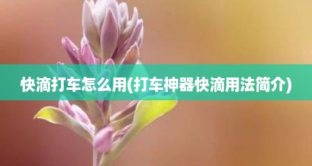 快滴打车怎么用(打车神器快滴用法简介)