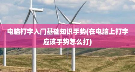 电脑打字入门基础知识手势(在电脑上打字应该手势怎么打)