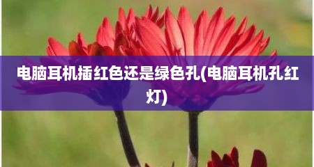 电脑耳机插红色还是绿色孔(电脑耳机孔红灯)