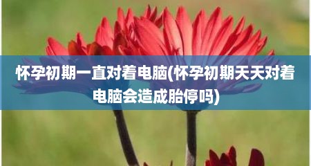 怀孕初期一直对着电脑(怀孕初期天天对着电脑会造成胎停吗)
