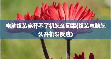电脑组装完开不了机怎么回事(组装电脑怎么开机没反应)