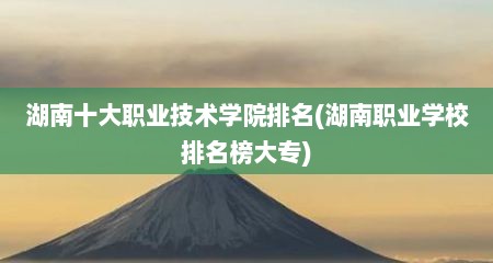 湖南十大职业技术学院排名(湖南职业学校排名榜大专)