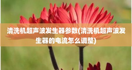 清洗机超声波发生器参数(清洗机超声波发生器的电流怎么调整)