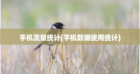 手机流量统计(手机数据使用统计)