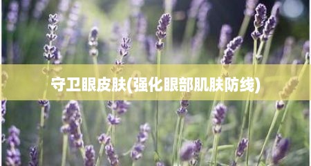 守卫眼皮肤(强化眼部肌肤防线)