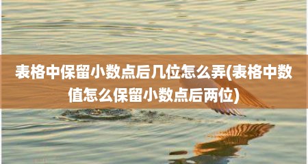 表格中保留小数点后几位怎么弄(表格中数值怎么保留小数点后两位)