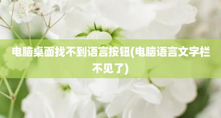 电脑桌面找不到语言按钮(电脑语言文字栏不见了)