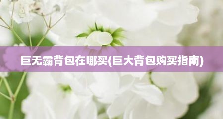 巨无霸背包在哪买(巨大背包购买指南)