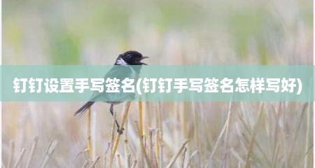 钉钉设置手写签名(钉钉手写签名怎样写好)