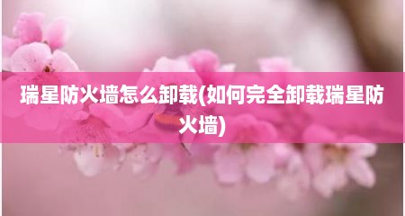 瑞星防火墙怎么卸载(如何完全卸载瑞星防火墙)