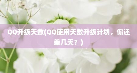 QQ升级天数(QQ使用天数升级计划，尔述差几天？)