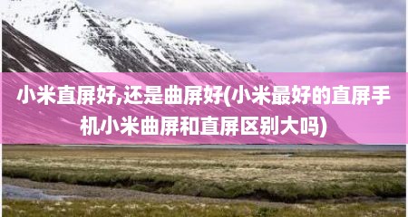 小米直屏好,还是曲屏好(小米最好的直屏手机小米曲屏和直屏区别大吗)