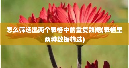 怎么筛选出两个表格中的重复数据(表格里两种数据筛选)