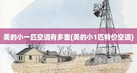美的小一匹空调有多重(美的小1匹特价空调)