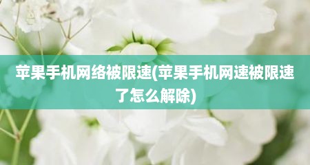 苹果手机网络被限速(苹果手机网速被限速了怎么解除)