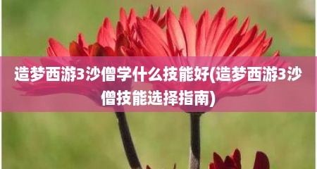 造梦西游3沙僧学什么技能好(造梦西游3沙僧技能选择指南)