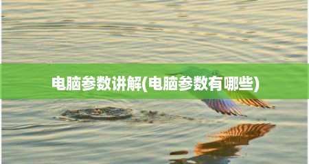 电脑参数讲解(电脑参数有哪些)