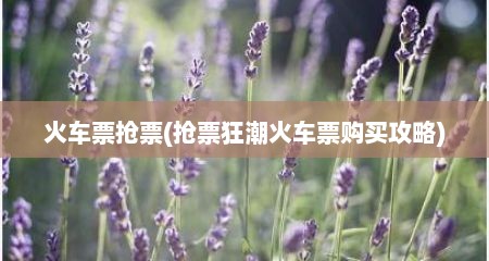 火车票抢票(抢票狂潮火车票购买攻略)