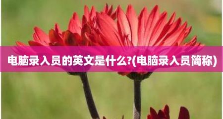 电脑录入员的英文是什么?(电脑录入员简称)