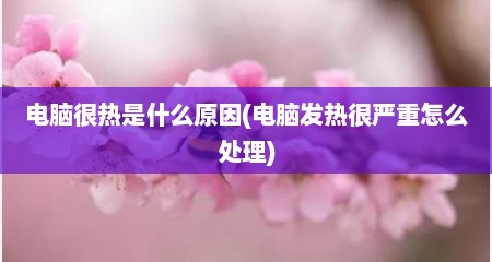 电脑很热是什么原因(电脑发热很严重怎么处理)