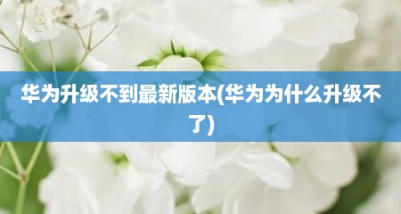 华为升级不到最新版本(华为为什么升级不了)