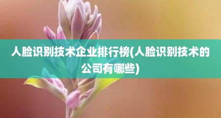 人脸识别技术企业排行榜(人脸识别技术的公司有哪些)