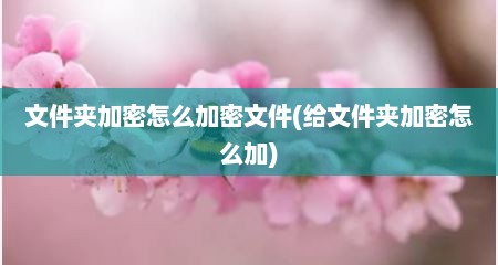 文件夹加密怎么加密文件(给文件夹加密怎么加)