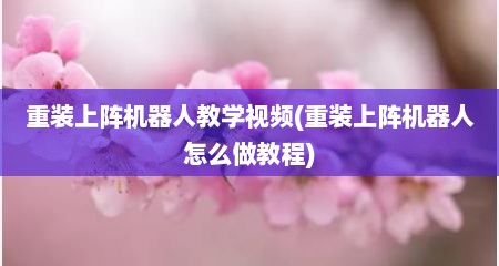 重装上阵机器人教学视频(重装上阵机器人怎么做教程)
