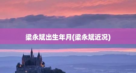 梁永斌出生年月(梁永斌近况)