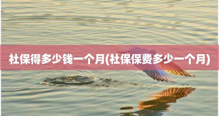 社保得多少钱一个月(社保保费多少一个月)
