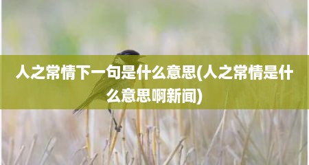 人之常情下一句是什么意思(人之常情是什么意思啊新闻)