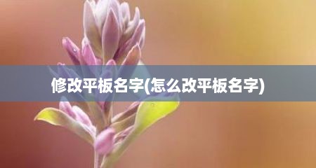 修改平板名字(怎么改平板名字)