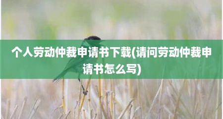 个人劳动仲裁申请书下载(请问劳动仲裁申请书怎么写)