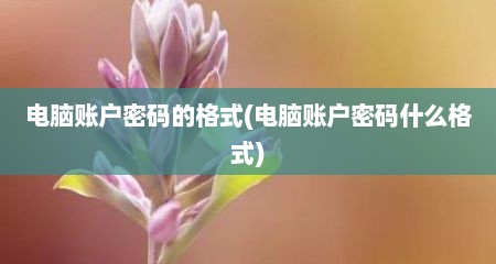 电脑账户密码的格式(电脑账户密码什么格式)