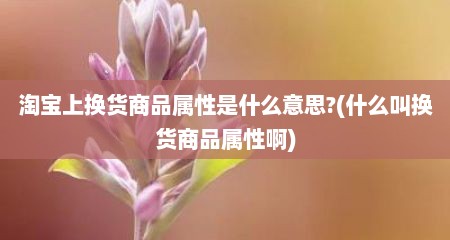 淘宝上换货商品属性是什么意思?(什么叫换货商品属性啊)