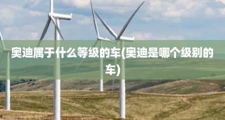 奥迪属于什么等级的车(奥迪是哪个级别的车)
