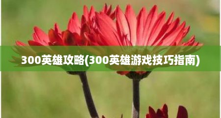 300英雄攻略(300英雄游戏技巧指南)