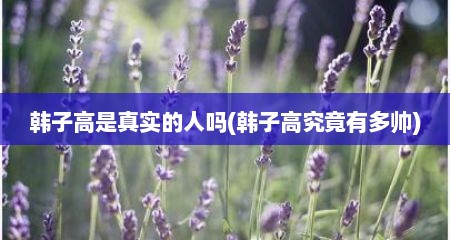 韩子高是真实的人吗(韩子高究竟有多帅)