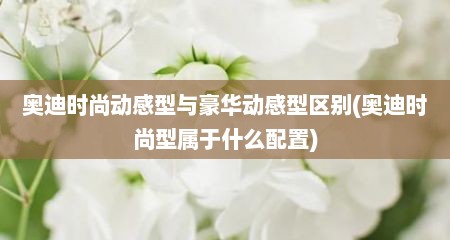 奥迪时尚动感型与豪华动感型区别(奥迪时尚型属于什么配置)