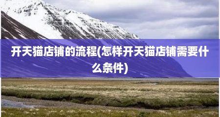 开天猫店铺的流程(怎样开天猫店铺需要什么条件)