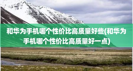 和华为手机哪个性价比高质量好些(和华为手机哪个性价比高质量好一点)