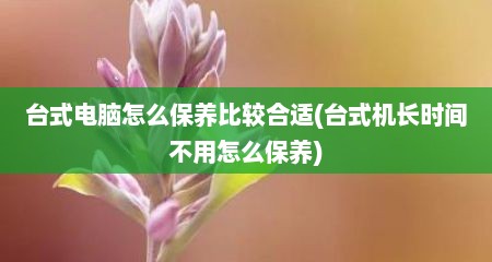 台式电脑怎么保养比较合适(台式机长时间不用怎么保养)