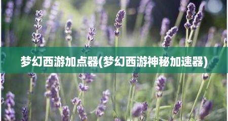 梦幻西游加点器(梦幻西游神秘加速器)